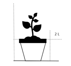 Troldel Fothergilla Major Potte 2 Liter. -GrønGlæde Salgsbutik 20 2 liter ac43 2
