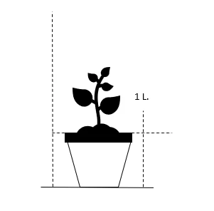 Russisk Salvie 'Little Spire' Perovskia Atriplicifolia 'Little Spire' 1 Liter Potte 2 Russisk Salvie 'Little Spire' Perovskia Atriplicifolia 'Little Spire' 1 Liter Potte - Billede 2