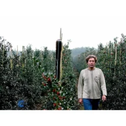 Kristtorn Ilex Aquifolium Med Klump,- 150-175 Cm. -GrønGlæde Salgsbutik fi15282 ilex aquifolium 2710