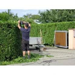 Liguster / Ligusterhæk 'Liga' Ligustrum Vulgare 'Liga' Potte 7,5 Liter 80-100 Cm -GrønGlæde Salgsbutik mi1441 ligustrum vulgare liga 72c3 1