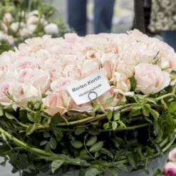 'Morten Korch' Rosa X 'Morten Korch' (Storblomstrende) A-Kvalitet,- Barrods Roser Min. 3 Grene -GrønGlæde Salgsbutik p12767 51341 rosa x morten korch storblomstrende 736b