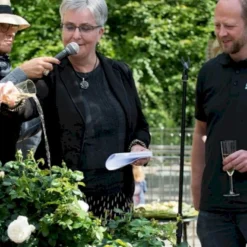 'Friheden'™ Rosa X 'Friheden'™ (Buketrose) A-Kvalitet,- Barrods Roser Min. 3 Grene -GrønGlæde Salgsbutik p19464 51279 rosa x friheden buketrose a0a1