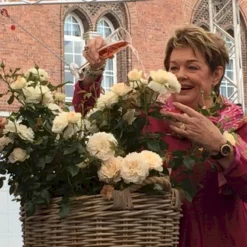 'Fru Nørby'™ Rosa X 'Fru Nørby'™ (Buketrose) A-Kvalitet,- Barrods Roser Min. 3 Grene -GrønGlæde Salgsbutik p19465 51500 rosa x fru noerby buketrose bfc0