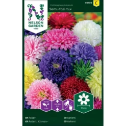 Sommerasters 'Semi-Tall' Mix Callistephus Chinensis 'Semi-Tall' Mix Pose Med Frø Eller Løg, 25