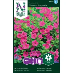 Hængepetunia 'Showers Burgundy' Petunia Hybrida 'Showers Burgundy' Pose Med Frø Eller Løg, 10