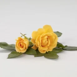 'Flaming Cover'® Rosa X 'Flaming Cover'® (Bunddækkerose) A-Kvalitet,- Barrods Roser Min. 3 Grene -GrønGlæde Salgsbutik p23637 51959 rosa x flaming cover bunddaekkerose 1d2c