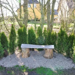 Hækthuja 'Smaragd' Thuja Occidentalis 'Smaragd' Med Klump,- 150-175 Cm.