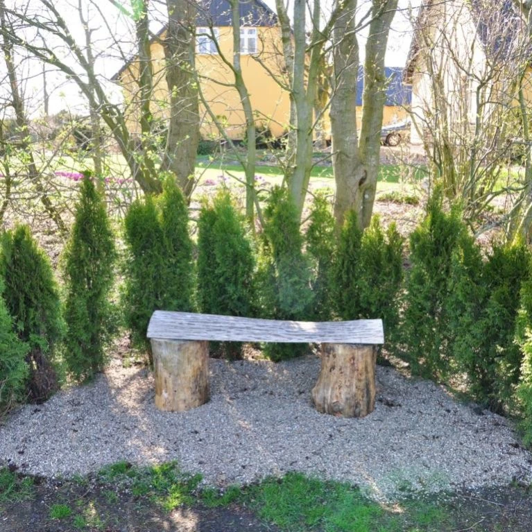 Hækthuja 'Smaragd' Thuja Occidentalis 'Smaragd' Med Klump,- 150-175 Cm. 1 Hækthuja 'Smaragd' Thuja Occidentalis 'Smaragd' Med Klump,- 150-175 Cm.