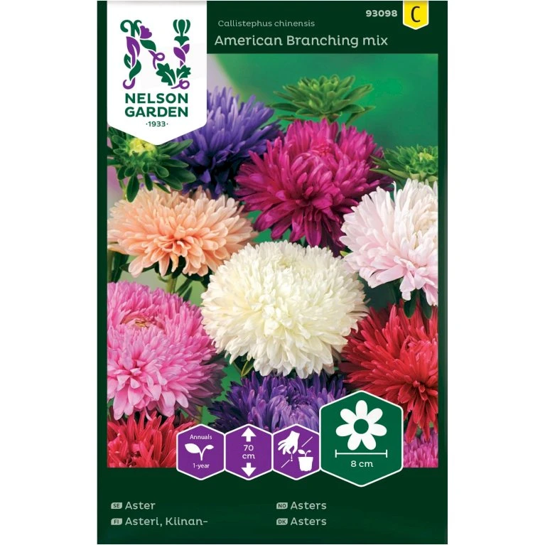 Sommerasters 'American Branching' Mix Callistephus Chinensis 'American Branching' Mix 1 Sommerasters 'American Branching' Mix Callistephus Chinensis 'American Branching' Mix