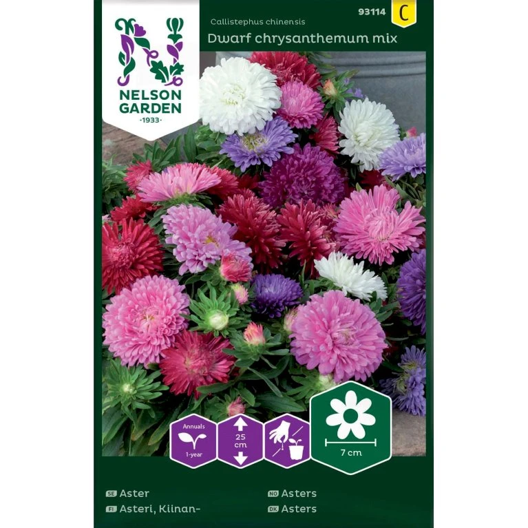 Sommerasters 'Dwarf Crysanthemum' Mix Callistephus Chinensis 'Dwarf Chrysanthemum' Mix 1 Sommerasters 'Dwarf Crysanthemum' Mix Callistephus Chinensis 'Dwarf Chrysanthemum' Mix