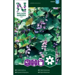 Hjelmbønne Lablab Purpureus