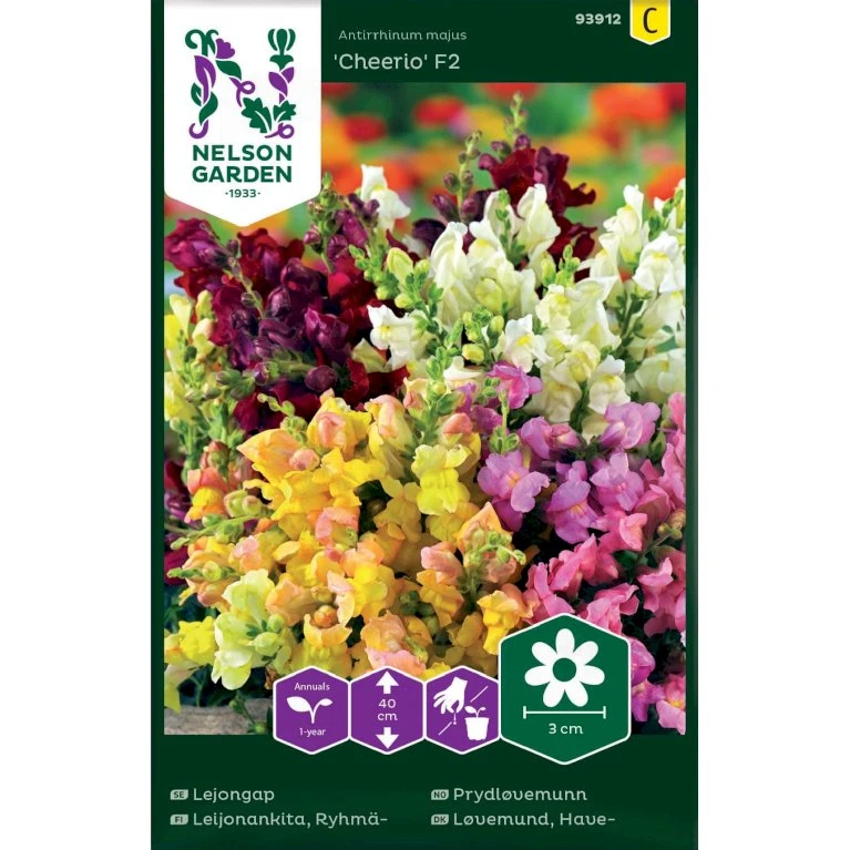Lav Løvemund 'Cheerio' F2 Mix Antirrhinum Majus 'Cheerio' F2 1 Lav Løvemund 'Cheerio' F2 Mix Antirrhinum Majus 'Cheerio' F2