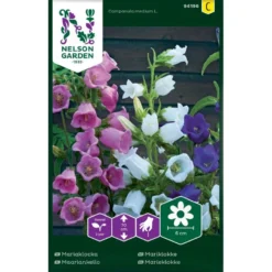 Marieklokke Mix Campanula Medium L.