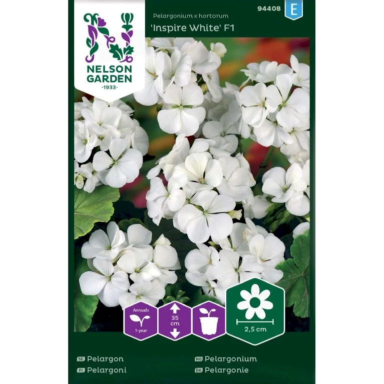 Pelargonie 'Inspire White' F1 Pelargonium X Hortorum 'Inspire White' F1 1 Pelargonie 'Inspire White' F1 Pelargonium X Hortorum 'Inspire White' F1