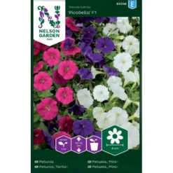 Minipetunia 'Picobella' F1 Mix Petunia Hybrida 'Picobella' F1