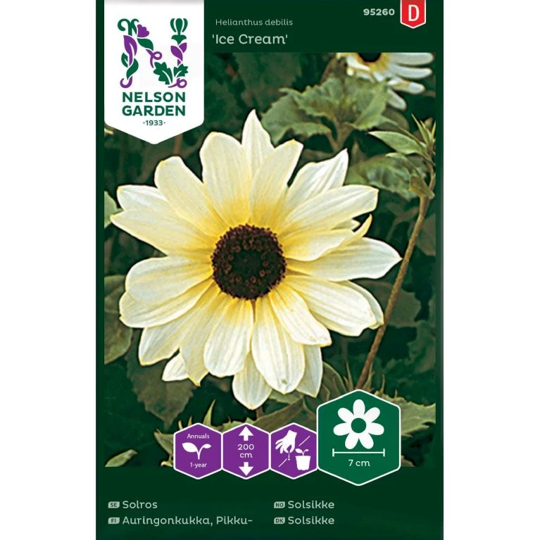 Høj Solsikke 'Ice Cream' Helianthus Debilis 'Ice Cream' 1 Høj Solsikke 'Ice Cream' Helianthus Debilis 'Ice Cream'