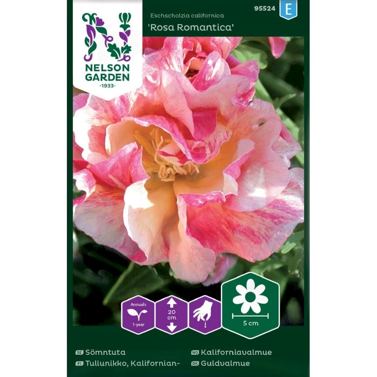 Californisk Guldvalmue 'Rosa Romantica' Eschscholzia Californica 'Rosa Romantica' 1 Californisk Guldvalmue 'Rosa Romantica' Eschscholzia Californica 'Rosa Romantica'