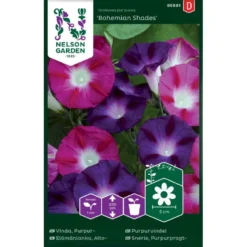 Purpurpragtsnerle 'Bohemian Shades' Ipomoea Purpurea 'Bohemian Shades'