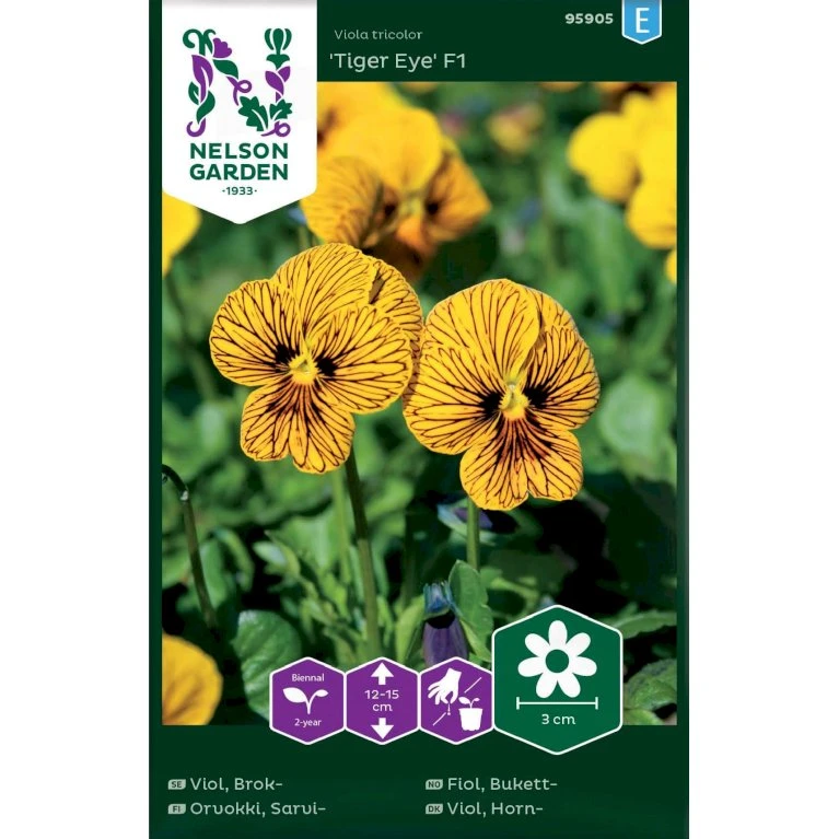 Hornviol 'Tiger Eye' F1 Viola Tricolor 'Tiger Eye' F1 1 Hornviol 'Tiger Eye' F1 Viola Tricolor 'Tiger Eye' F1