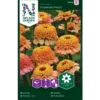 Frøkenhat 'Zinderella Peach' Zinnia Elegans 'Zinderella Peach'