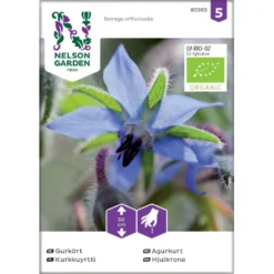 Hjulkrone Øko Borago Officinalis Frøpose, Antal Pr. Pakke, Ca. 20 Stk.