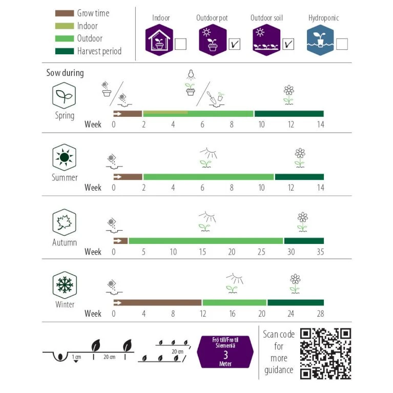 Morgenfrue Øko Calendula Officinalis Frøpose, Antal Pr. Pakke, Ca. 15 Stk. 2 Morgenfrue Øko Calendula Officinalis Frøpose, Antal Pr. Pakke, Ca. 15 Stk. - Billede 2