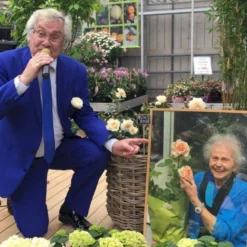 'Elin's Rose'™ Rosa X 'Elin's Rose'™ (Buketrose) A-Kvalitet,- Barrods Roser Min. 3 Grene -GrønGlæde Salgsbutik p35393 51465 rosa x elin s rose buketrose 752f