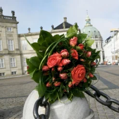 'Prinsesse Marie' Rosa X 'Prinsesse Marie' (Storblomstrende) A-Kvalitet,- Barrods Roser Min. 3 Grene -GrønGlæde Salgsbutik p5265 51362 rosa x prinsesse marie storblomstrende 75a7