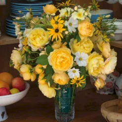 'Charles Darwin'™ Rosa X 'Charles Darwin'™ (Engelsk Rose) A-Kvalitet,- Barrods Roser Min. 3 Grene -GrønGlæde Salgsbutik p5351 52959 rosa x charles darwin engelsk rose b2dc