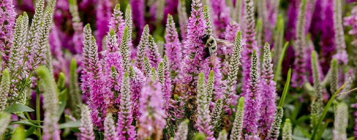 Forside -GrønGlæde Salgsbutik banner906