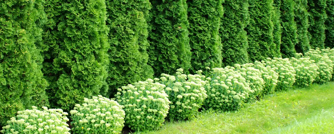 Forside -GrønGlæde Salgsbutik banner911